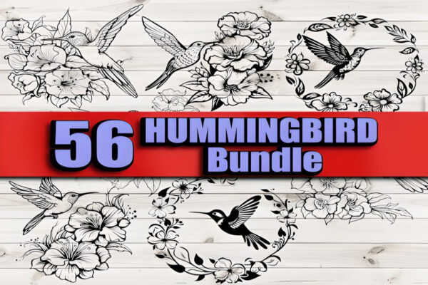 Hummingbird Vector Bundle